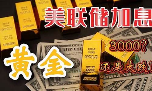 金价会涨到多少_金价会涨到3000美元